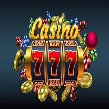 zly88